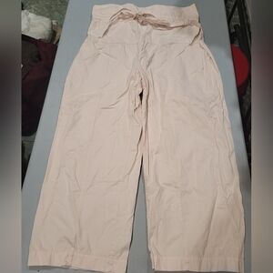 Banana Republic Light Pink Wide Leg Pants